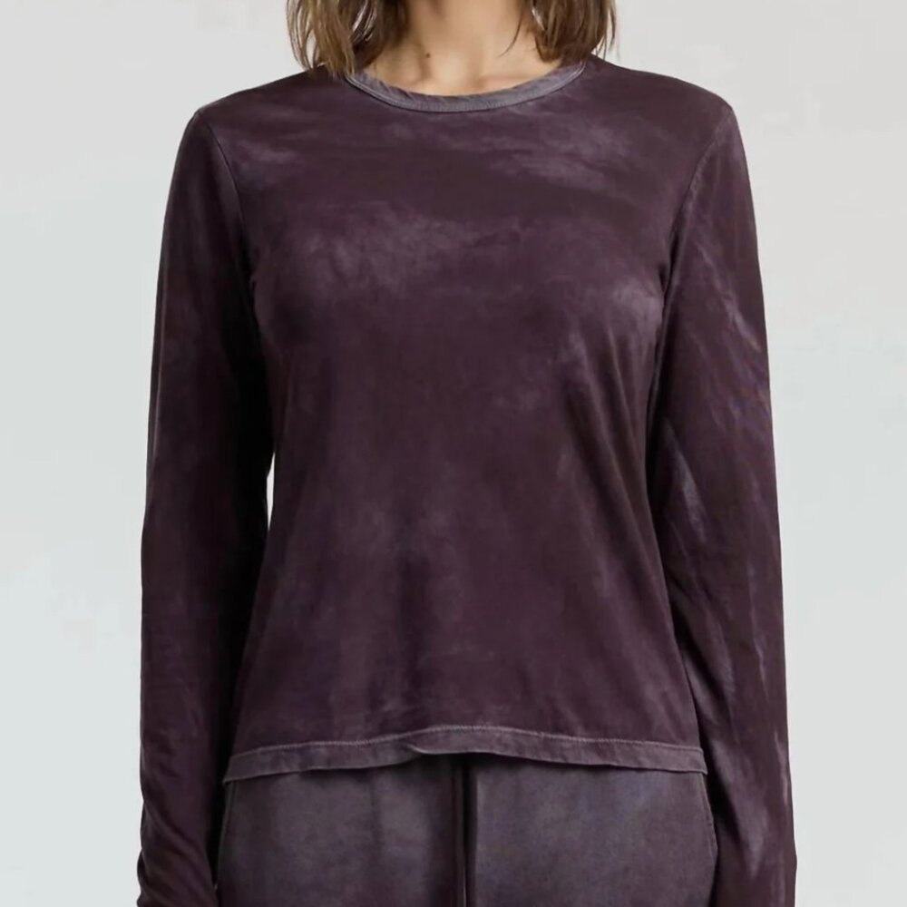 Cotton citizen standard shirt in eggplant